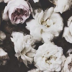 Meet your Posher, Skye